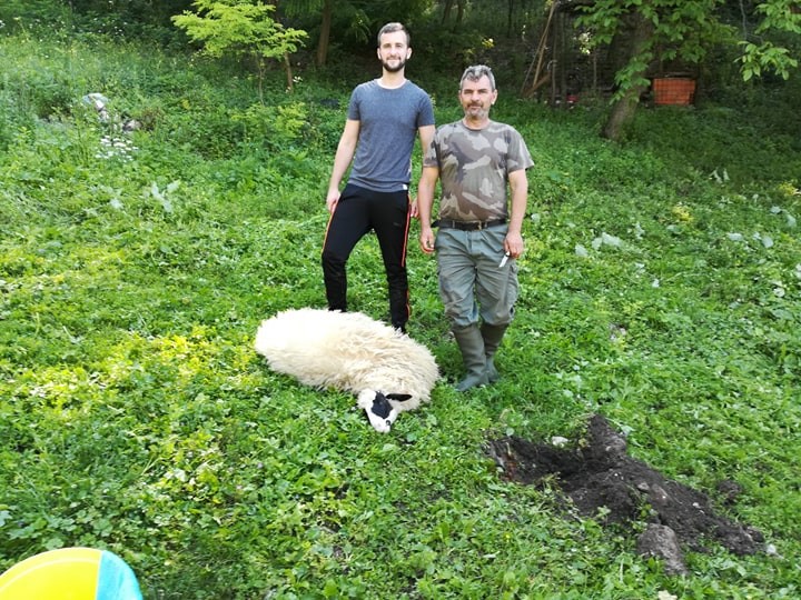 Jusići-Akika-kurban:Hasanović Sajra