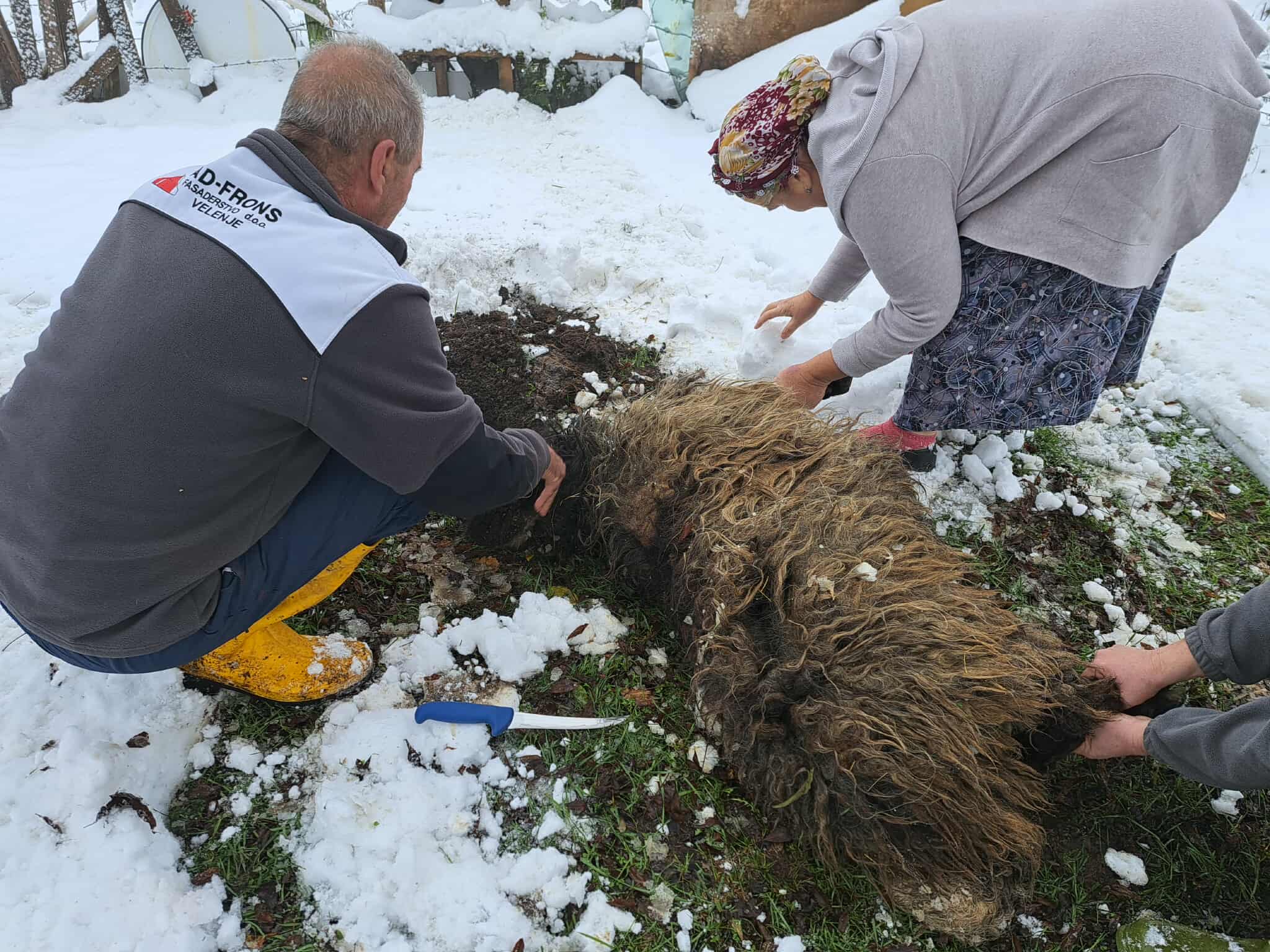 Akika- kurban: Jakubović Anela
